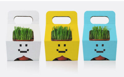 Можно ли перевозить растения в самолёте 2 Можно ли перевозить растения в самолёте