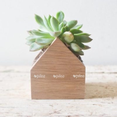 67aba168a74cf5ee7c24d1d791111d45 cozy house mini houses 400x400 1