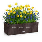 001c8c1c f0f1 4dd1 9875 045758312577 e1768234267299