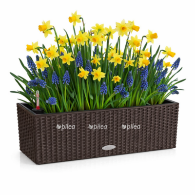 001c8c1c f0f1 4dd1 9875 045758312577 e1768234267299