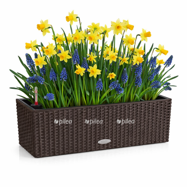 001c8c1c f0f1 4dd1 9875 045758312577 e1768234267299