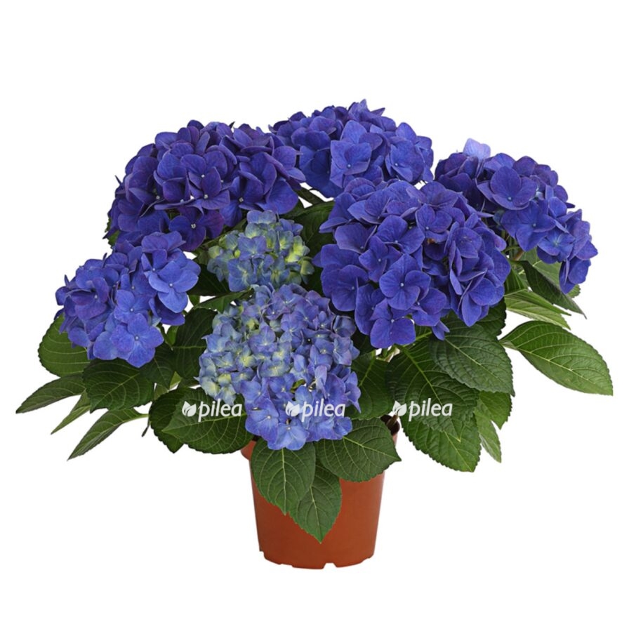 043d04b2 6d0b 4ed7 a2f2 a1b5ee273a76 e1681143233733