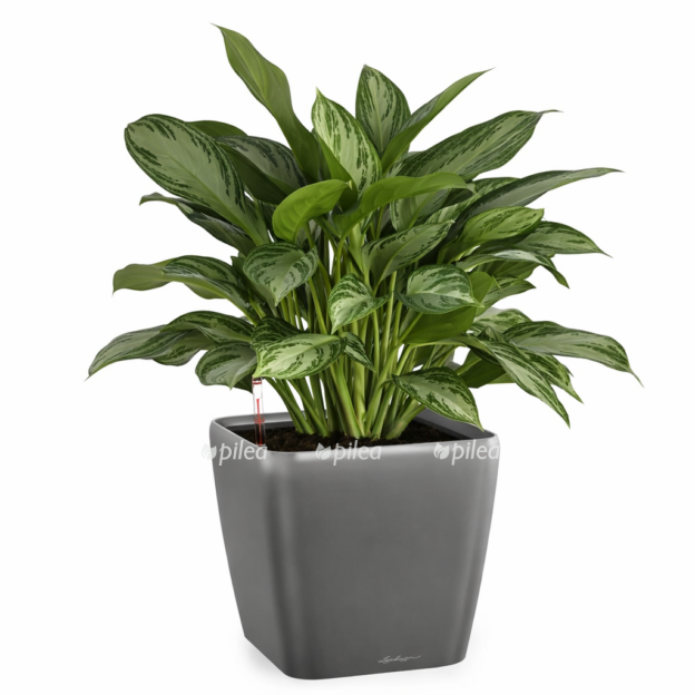 04756100 5e0d 4f77 a58f b1e8b138de9e e1768215172344