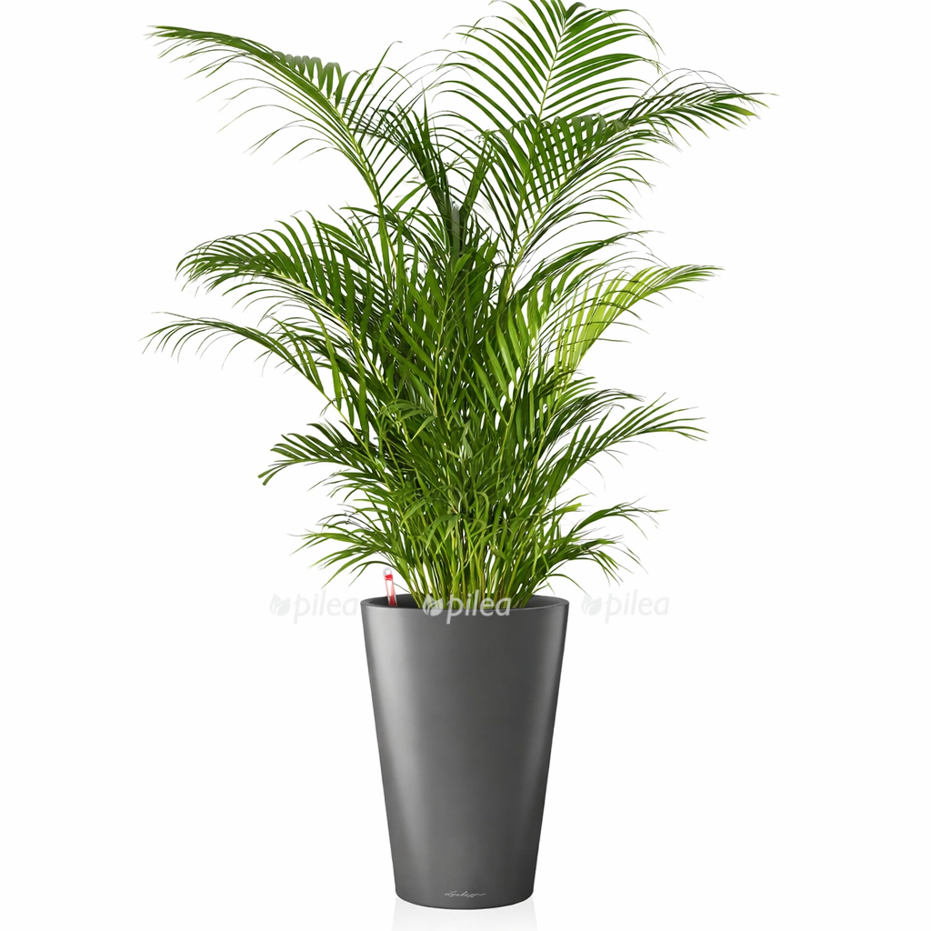 0a447acc f8e5 4096 8902 c13ebd6d8c77