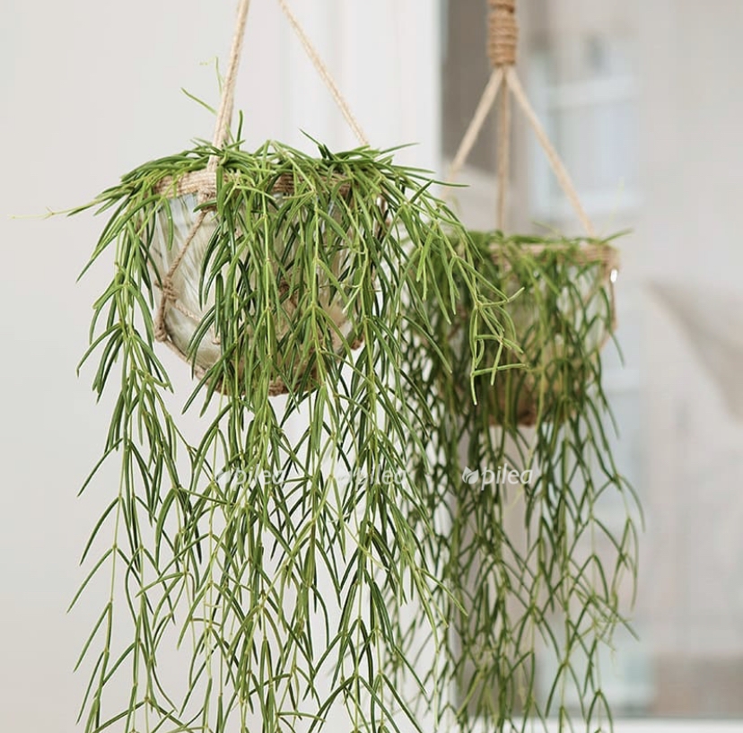 0f7e0d1d 577b 41be b3ab 764ab08cf4d7