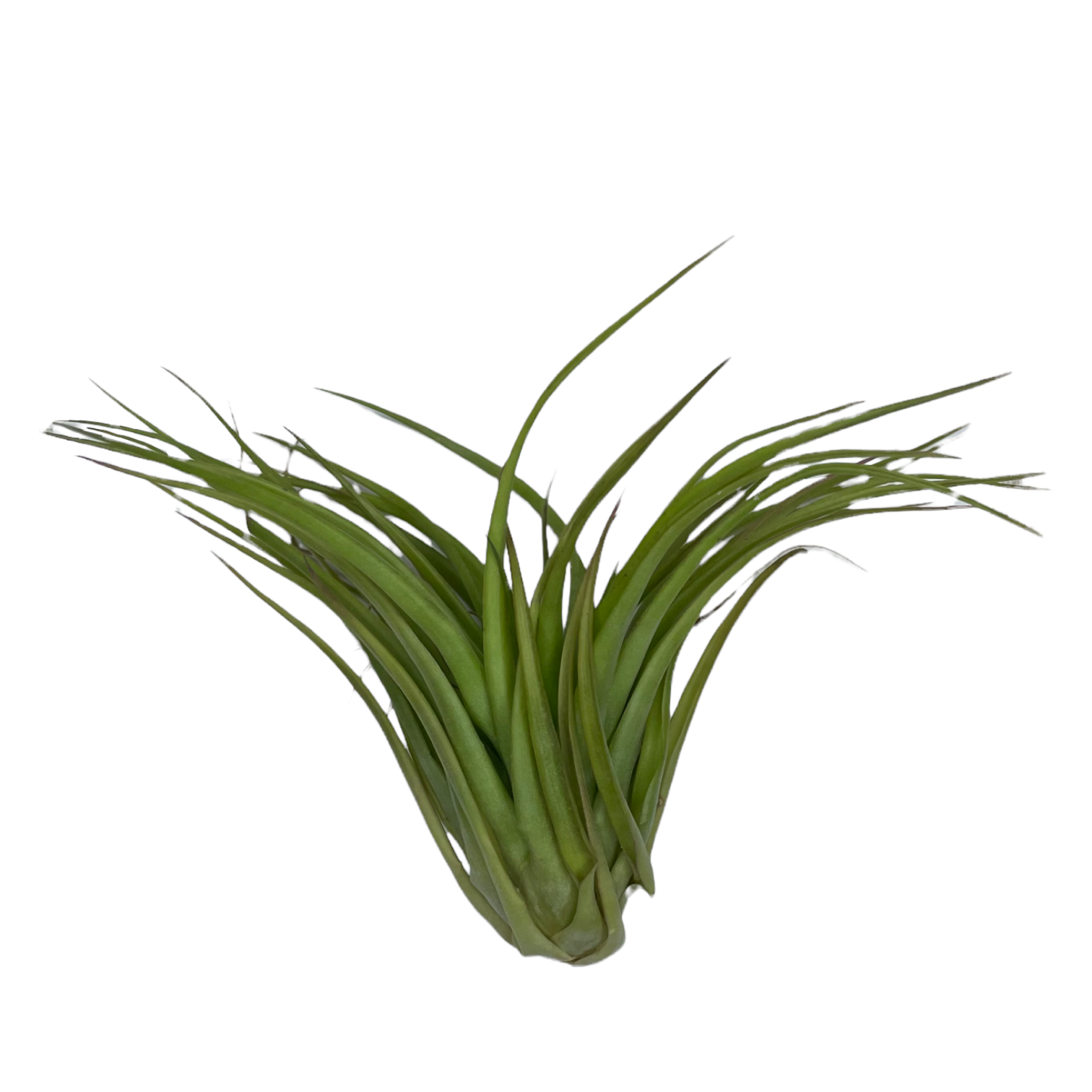 12d9c1aa 2bb9 4747 9921 f47331f94967