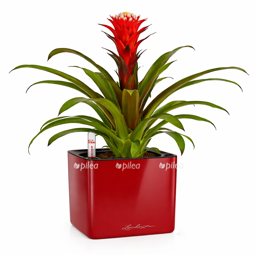 15956eb0 f219 44c1 9281 0deb44d999b7