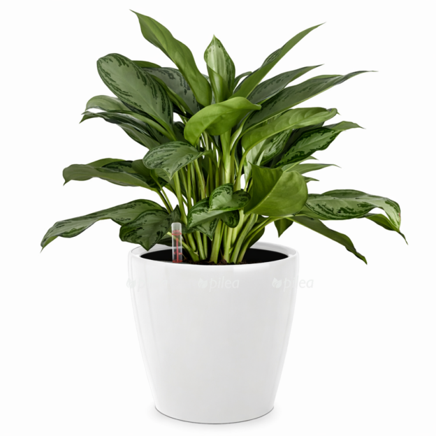 1cb58584 ea5e 46df b8fc b140504fe0d2 e1768321263377