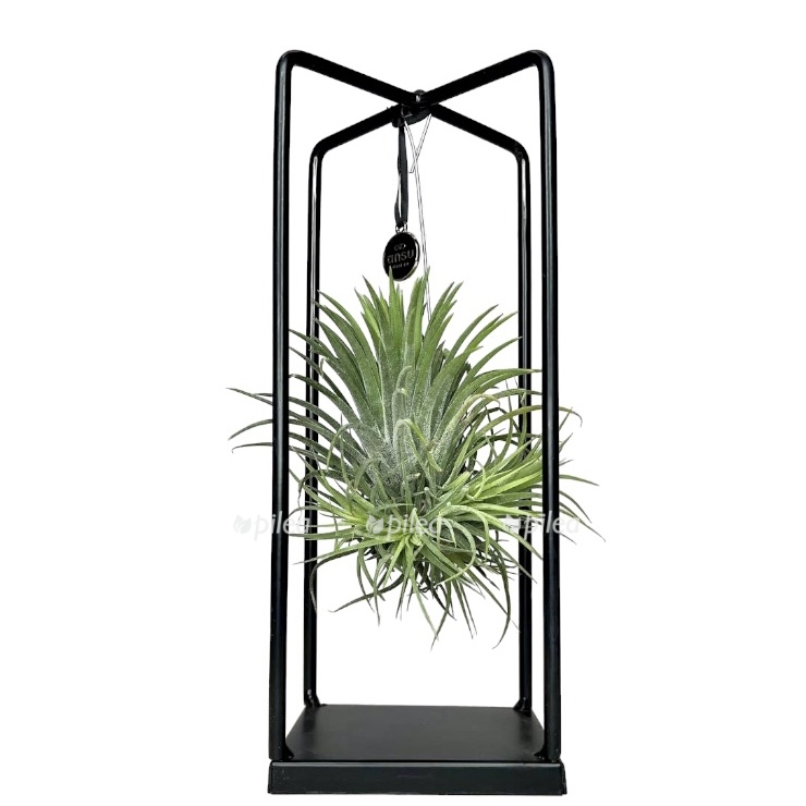 1d1efc69 d544 4f0d 99fd 42a214a29a0d