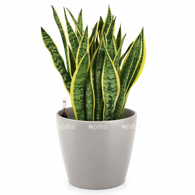 1deac85c 55dc 4d0f a68e 36b936b345d2 e1768327673129