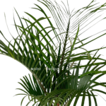 1e6c7baf 1feb 42b0 849c e7a3a077b5a0