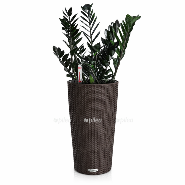 1ea62780 735c 47e5 9d13 542ada092e9a e1768235772664