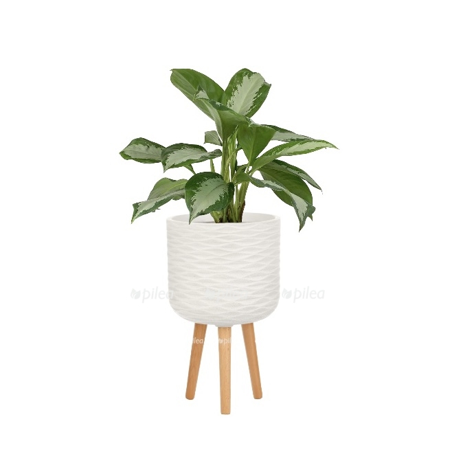 21e76298 001d 4f3d b92d 83e35a9fe383