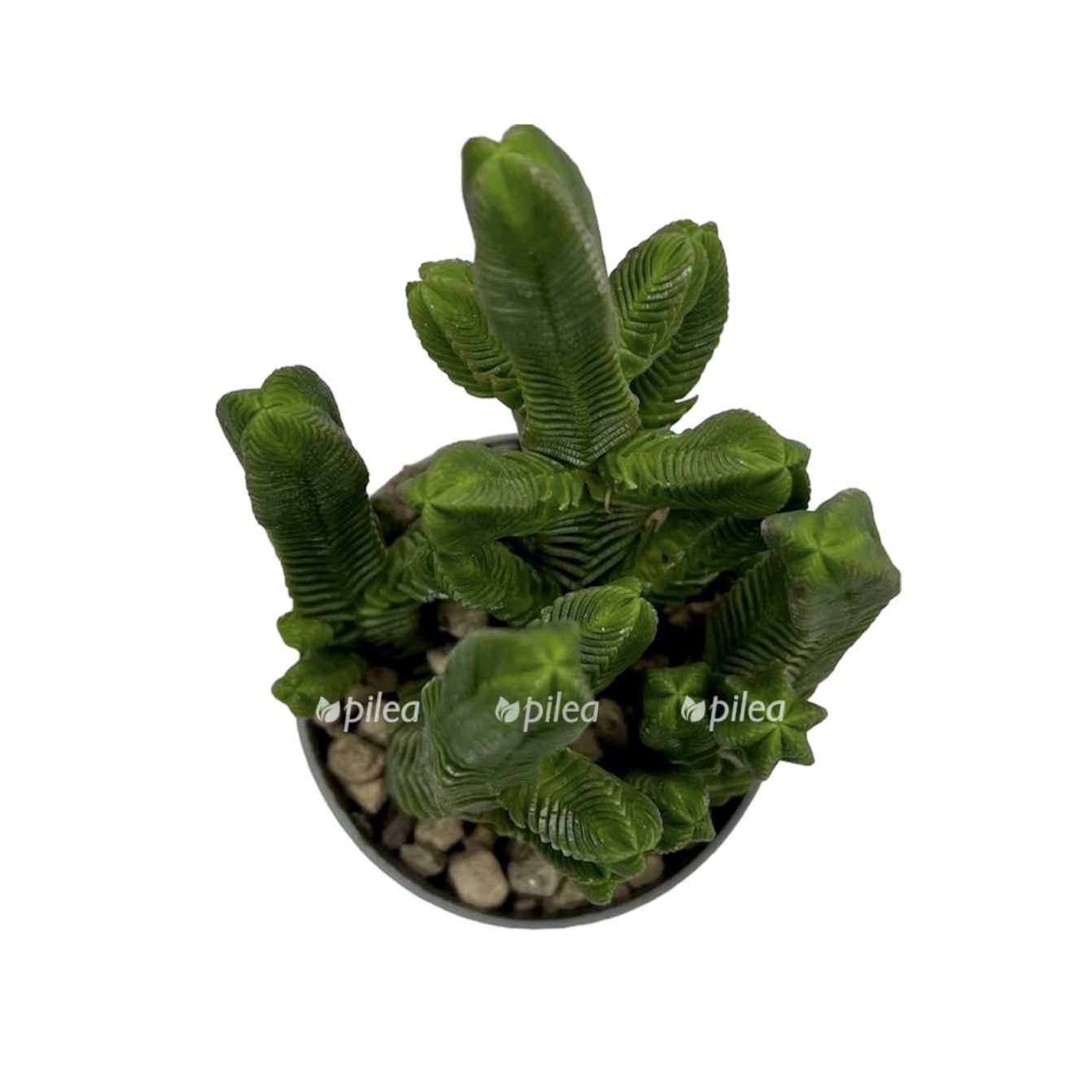 2754de3a 14e8 45df b44d 4927fd412159