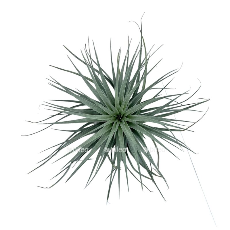 279d6eb9-7559-413a-a787-855c2d381dea-e1681186243642.jpeg 279d6eb9 7559 413a a787 855c2d381dea e1681186243642