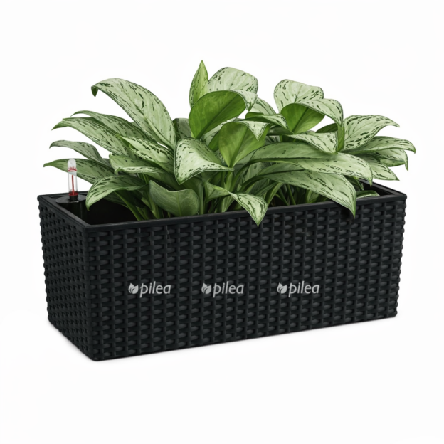 27d37996 0acb 4158 9d6e c9750b04b79e e1768329597262 1