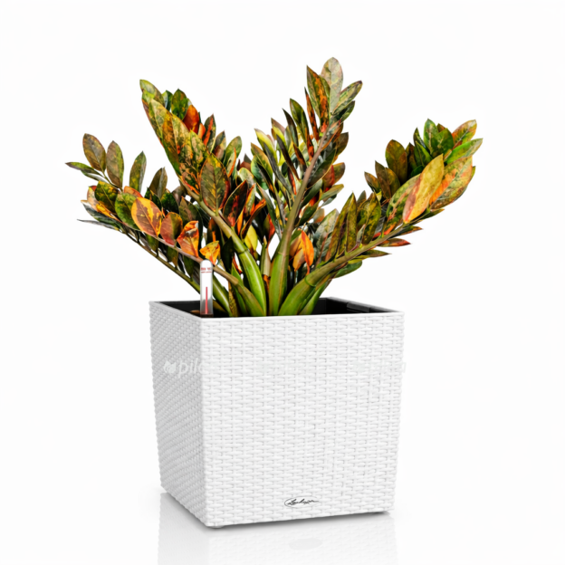 28eb4743 12d7 49fe 8824 c683bd5c4e4c e1768231681454