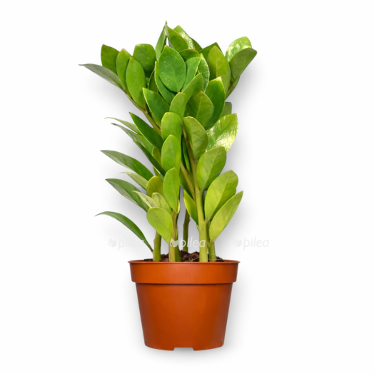 2bd60985 a9da 40f5 84c9 bc6f19b19692 e1768329945856