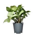 2d579861 a201 4a82 9d16 639529f3229e