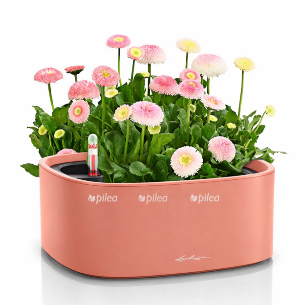 2f59091f 900d 4a5a bd7f e4e8469c6a91 e1768236919437