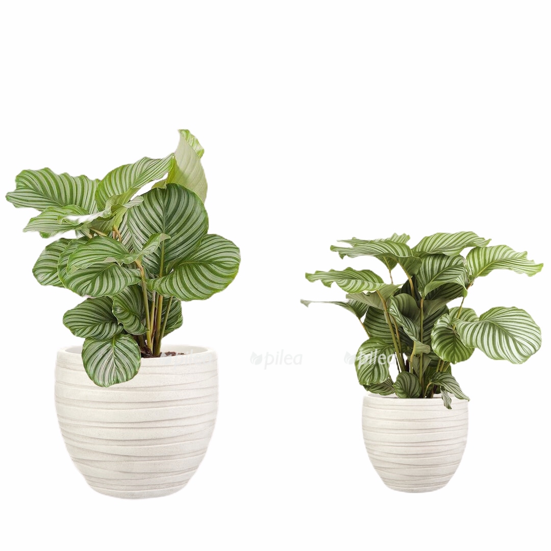 2f8289fa cb28 412e bd83 e74ac51a5468