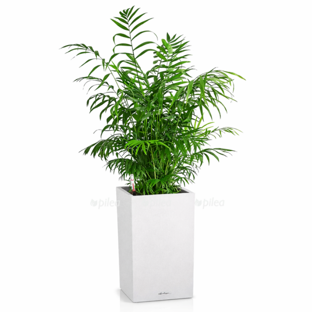 3ac9821b 47a0 4810 89ca 14ff7d337f42 e1768329621487