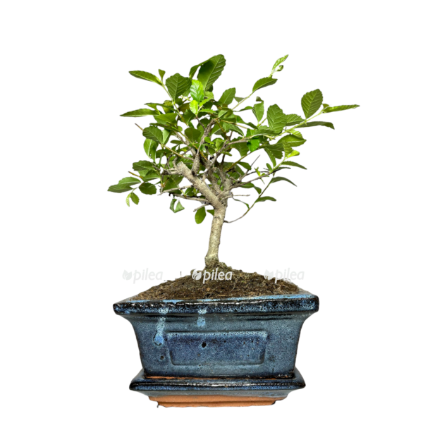 40c9a9fd 1de9 4564 9c17 61f12f0e34c6 e1650029364125