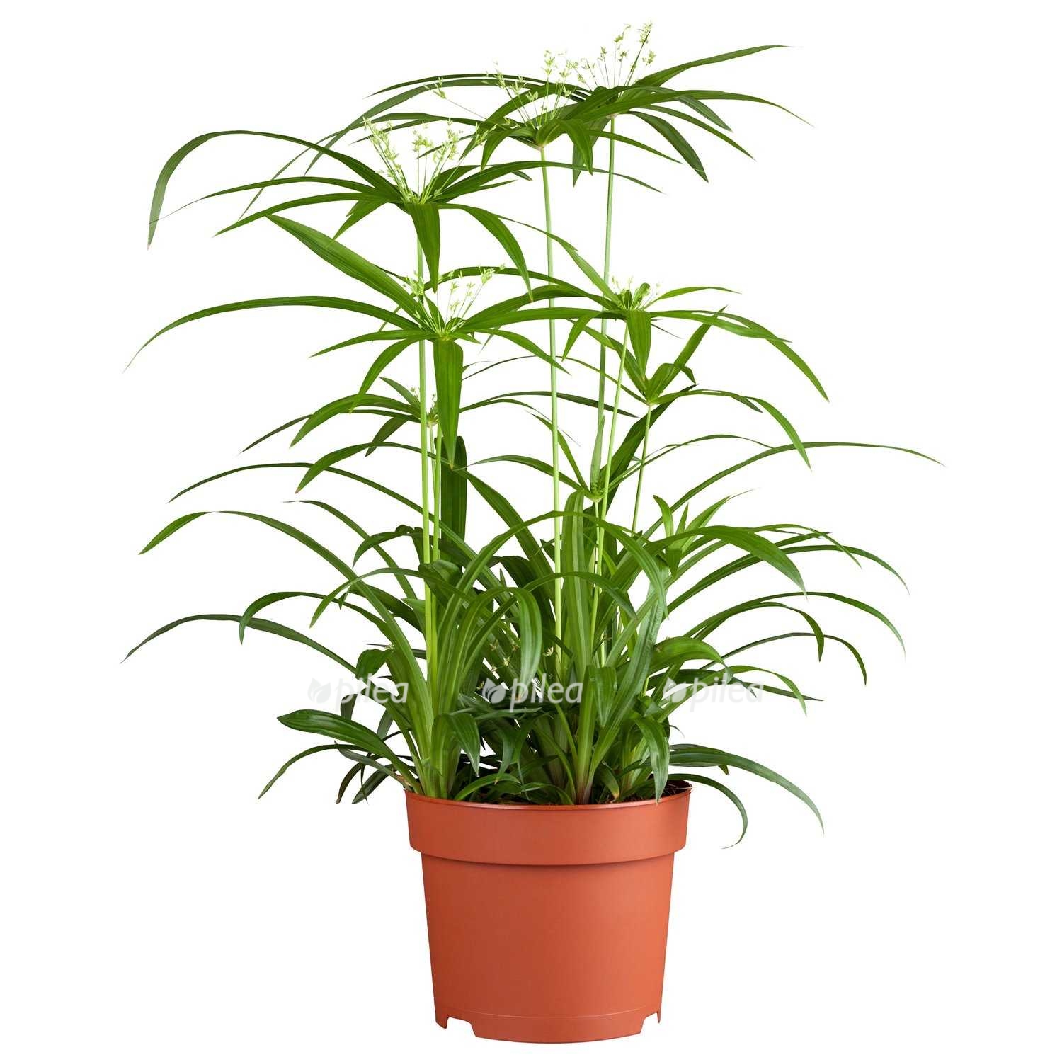 44f26b52-26c2-485e-92c0-3e149703bfd0.jpeg 44f26b52 26c2 485e 92c0 3e149703bfd0