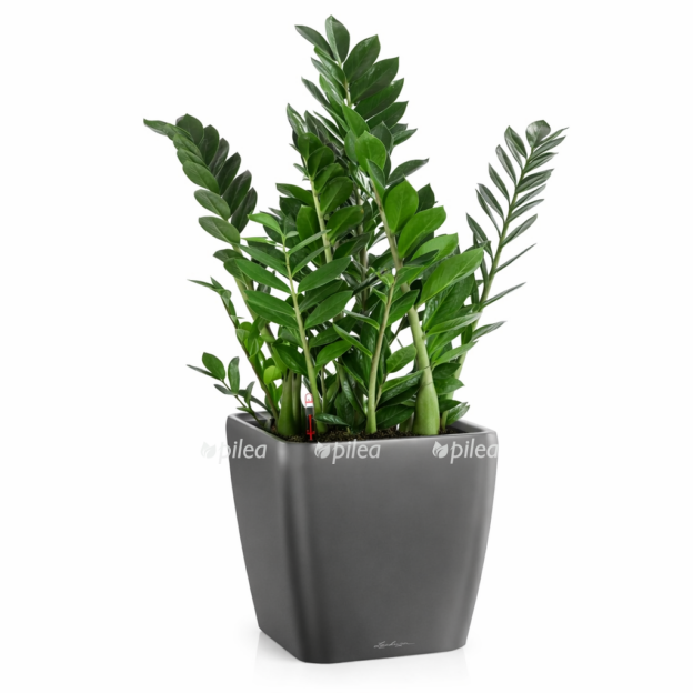 49d42e22 d42e 4765 b409 fac8fa2e8d7b e1768330718449