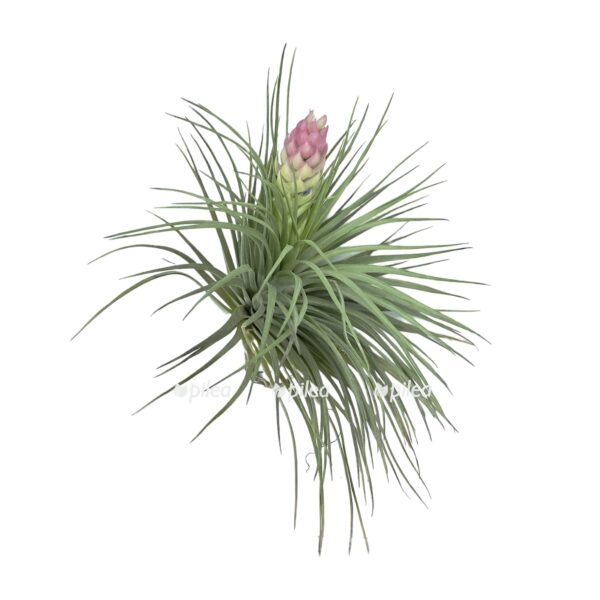 4c50ac1f ca88 47c9 8117 f7b584238d6a e1678886648460