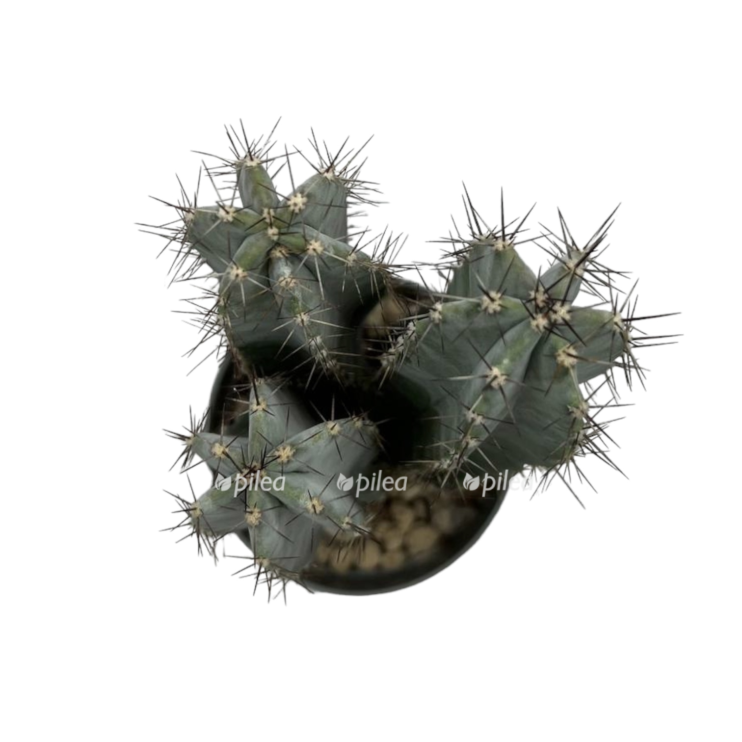 4fe1beae 36f6 4251 a48d 0459d436aff5