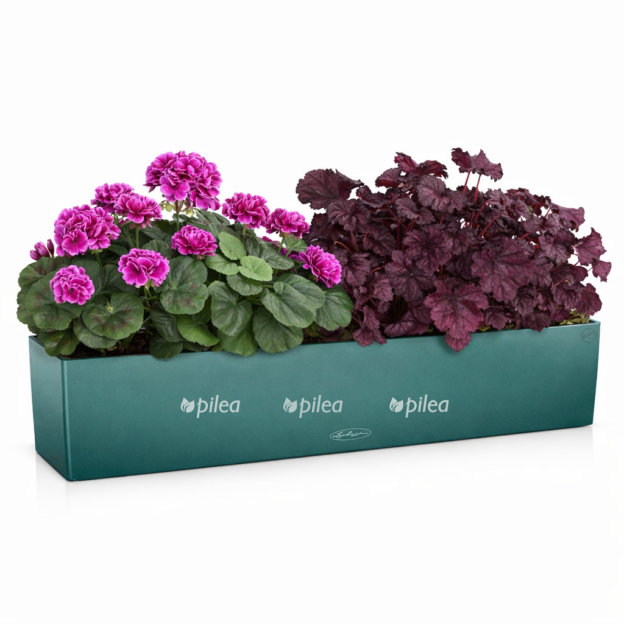 52c606b7 558e 482d a141 33f8669293ce e1768288240216 1