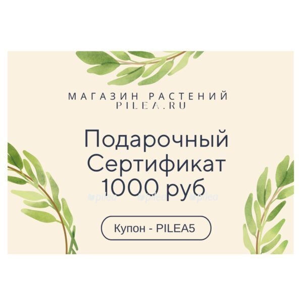 53ce1c8a 9921 4c11 a8dd f675184b1940 e1666207006227