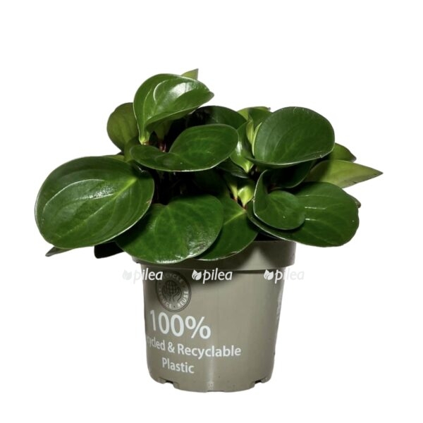 5470792d ec5a 437c 898b 96445dcf3ba9 e1682020420414