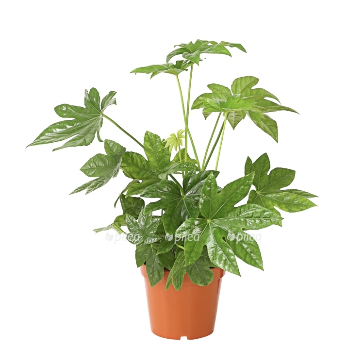 54897c32 2b01 498f b842 6db3999e90c7