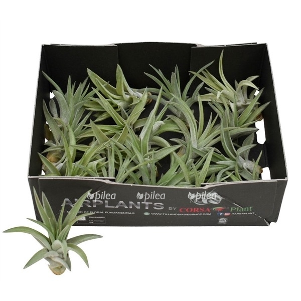 56107c62 b1b9 4dee aed8 a02f83fa6a27