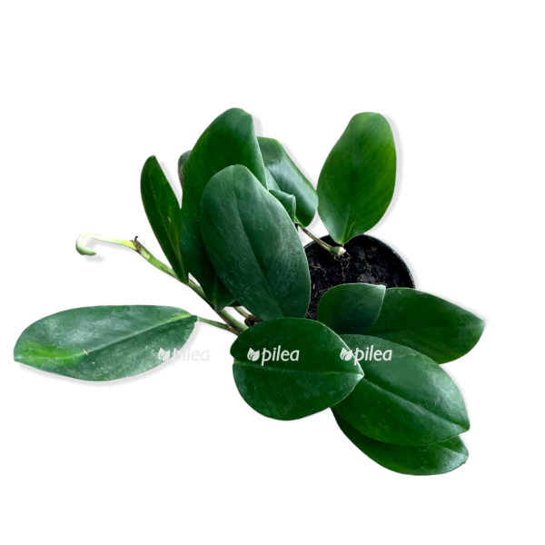 5831751b b3a5 4450 ab72 2c384d7287db e1641922510285