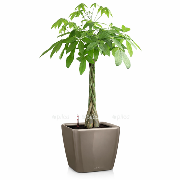 65f660ab 9a43 4b5e b8aa 2c785280a3b7 e1768483413470