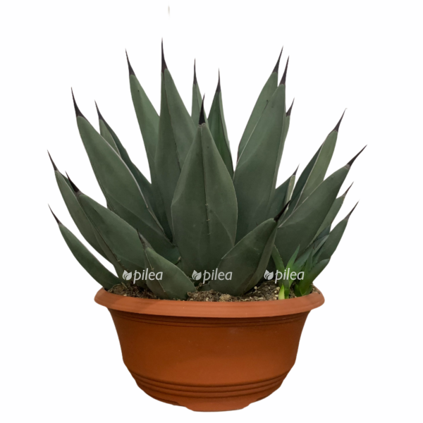 6739b017 4ee1 4be3 a1ef 6096422bbe93 e1669311934586