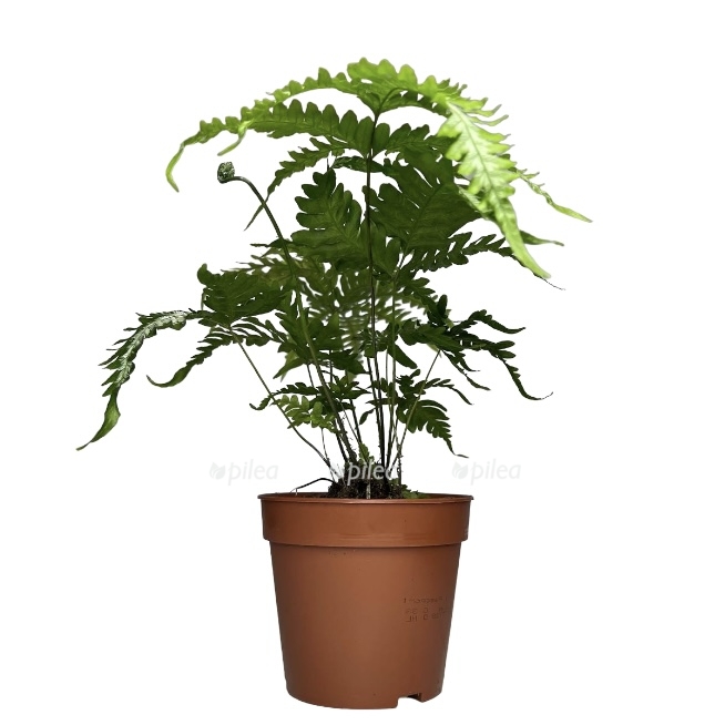 69d4b935 a5dd 4a8b b677 2b5eea9fa22f