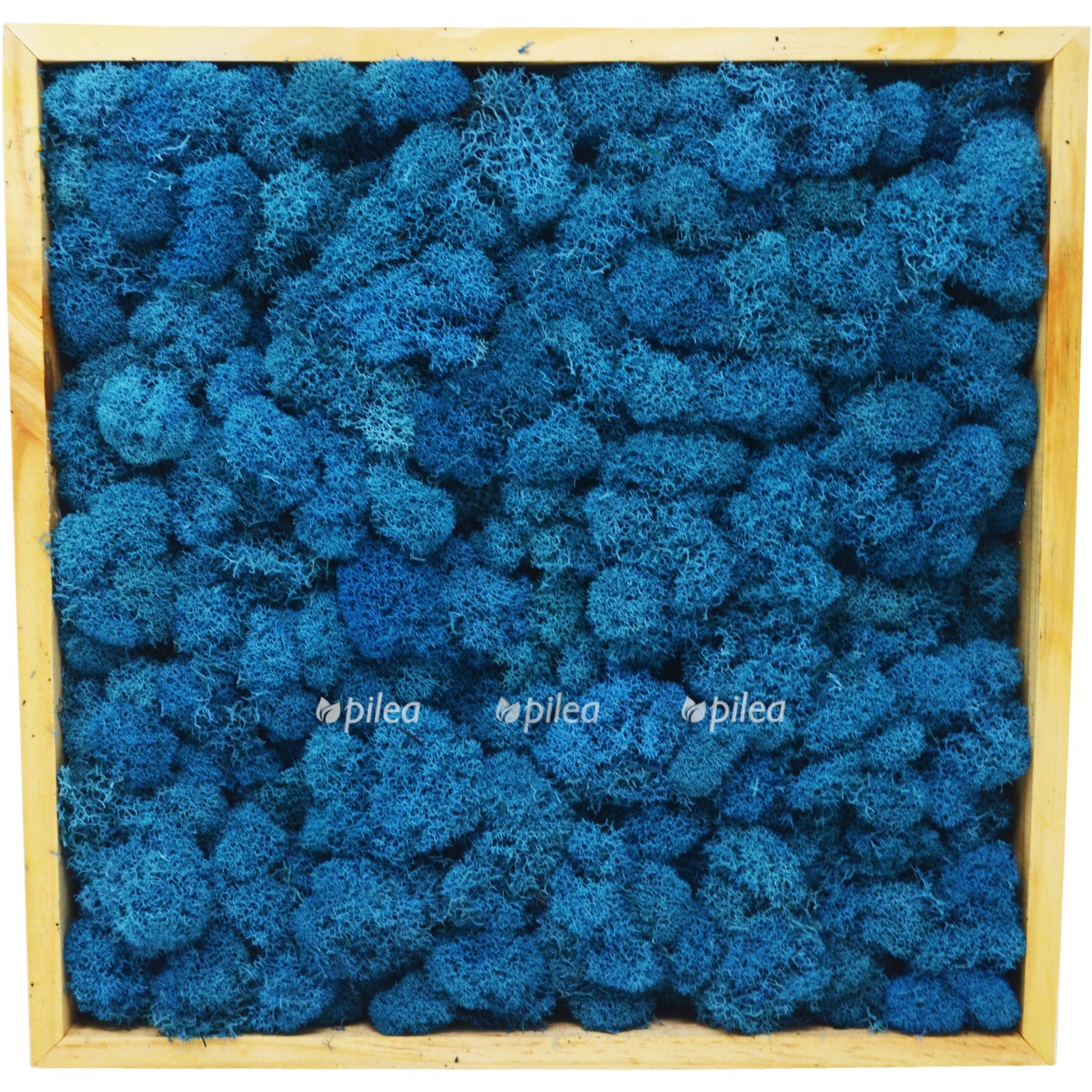 6b56efb1 5f25 5a1e 8285