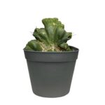 70e21baa 11f1 4890 b577 8ed59fb4d82b