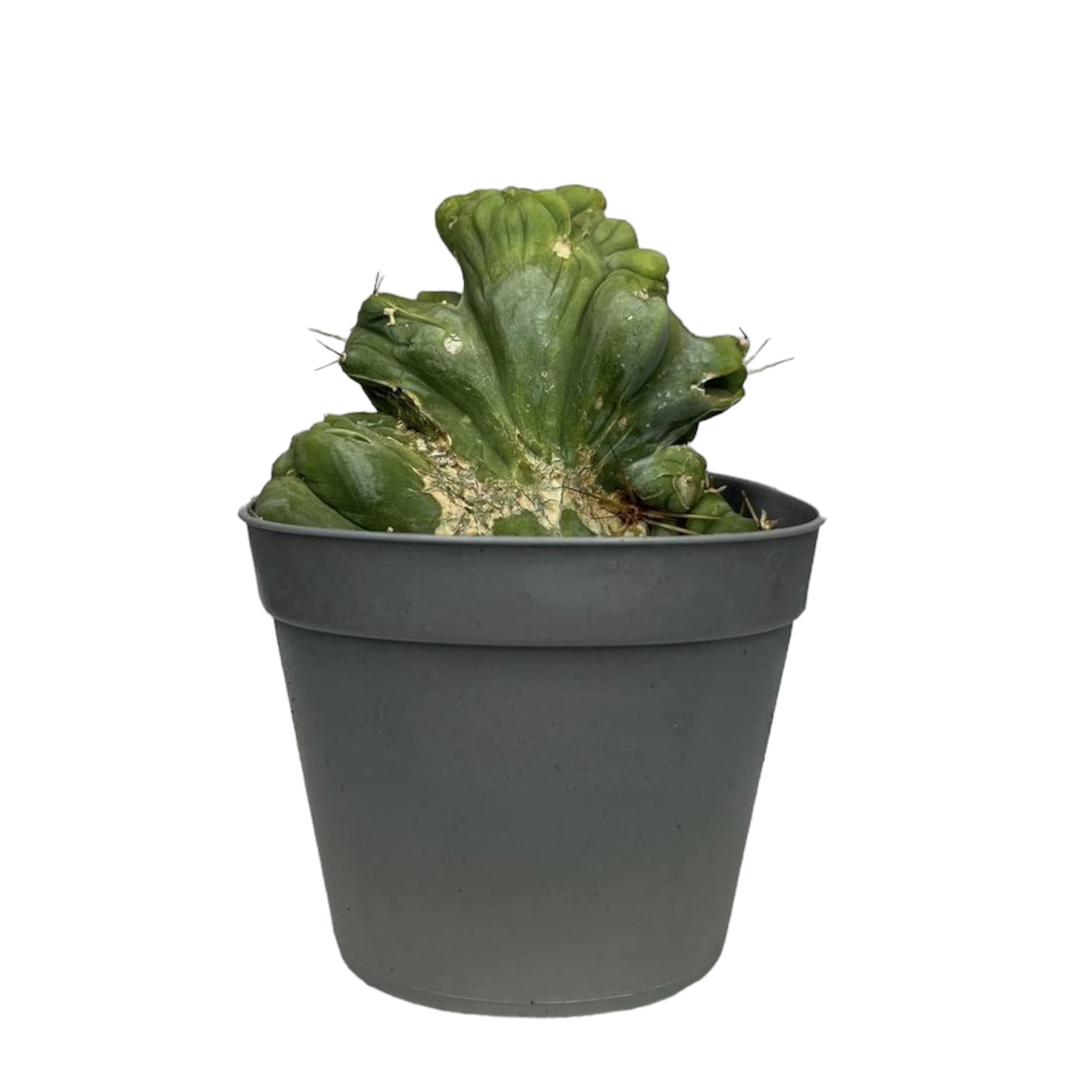 70e21baa 11f1 4890 b577 8ed59fb4d82b