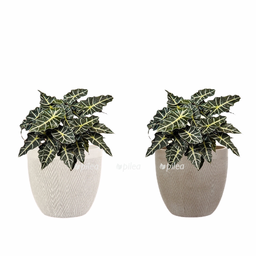 71040ab3 0709 455a 87b4 90e0d1fa9aed