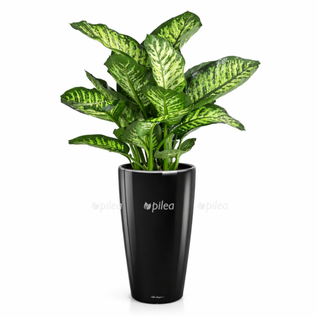 7271d7f3 f02d 47ee 9344 c7d0e85b5091 e1768380909745