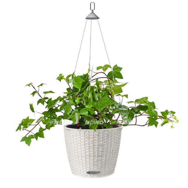 73dce596 cc36 4b44 8237 6bd673f3be00 e1768216430994