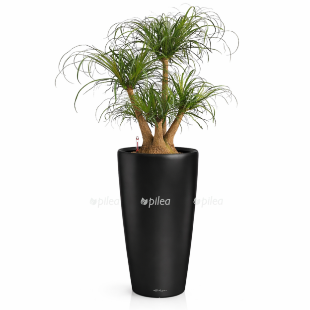 752813eb e3b3 4c7b ad53 8ff3bc4fe1d2 e1768286242816