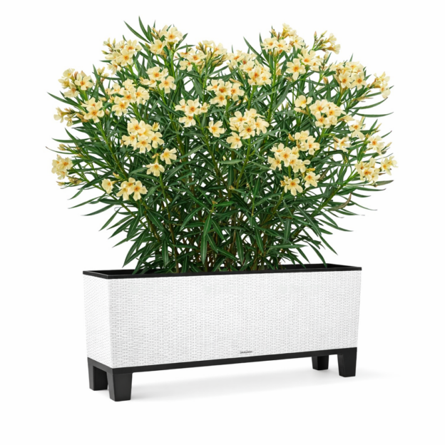 77341660 4d2e 4cf0 83f1 a427161d56da e1768212114594