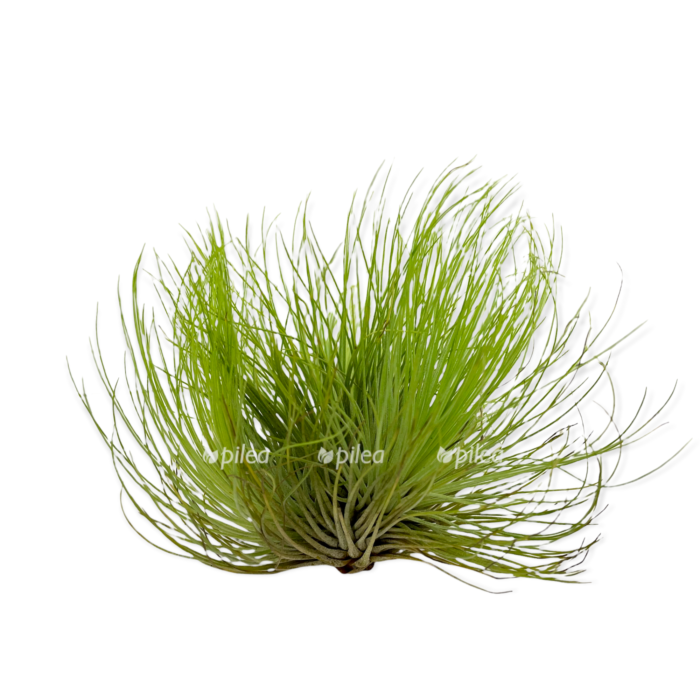 775f8268 c24a 45ce 8539 812b3de16883 e1681415185253