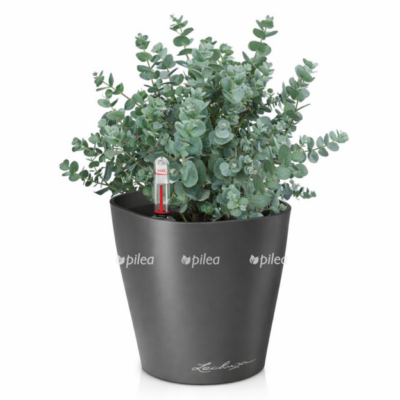 795492f8 611f 44a5 ba58 57ded42c80f4 e1768233694370